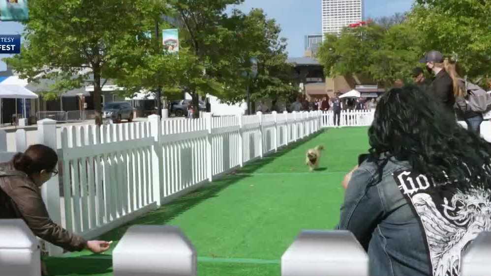 Petfest returns to Milwaukee