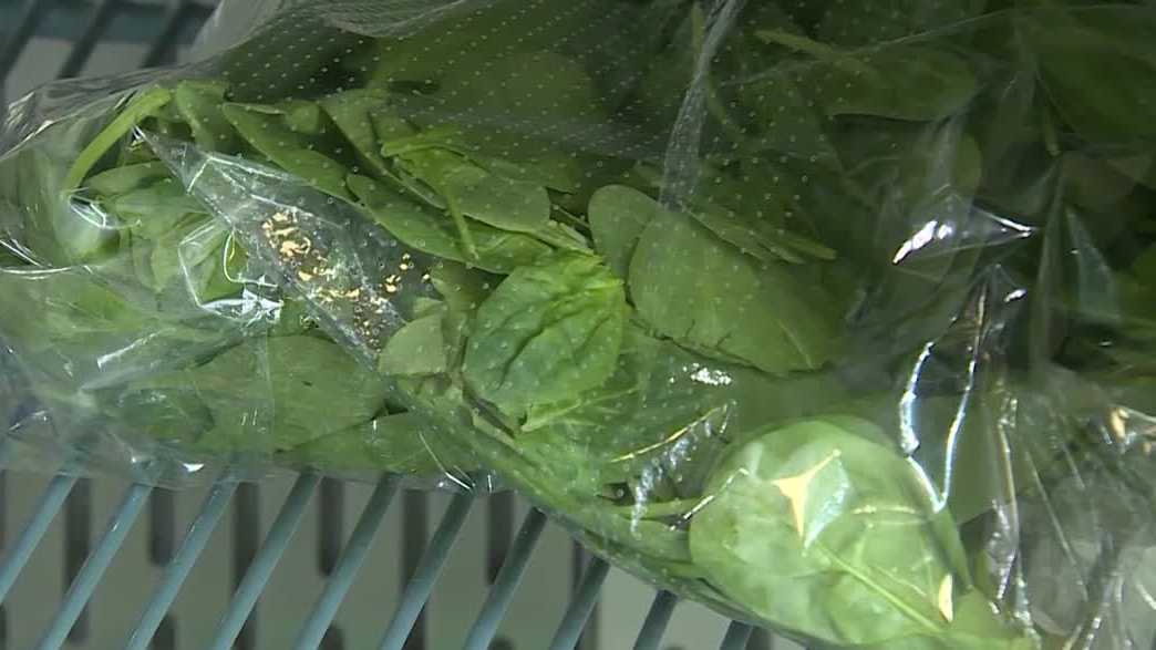 Lawsuits filed against Taylor Farms and Taco Bell over cyclosporiasis ...
