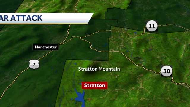 Bear attacks woman in Vermont, officials investigating - Vimarsana News