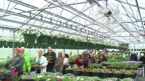central campus green house plant sale may 2-3 in des moines