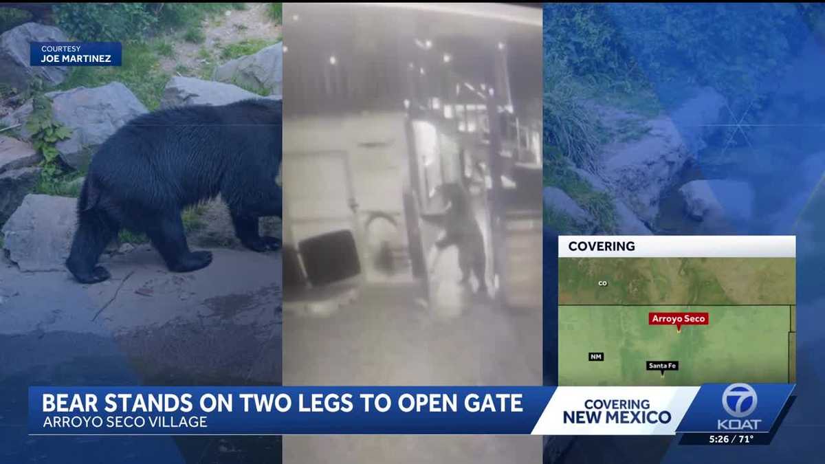 Bear opens residential gate in Northern New Mexico