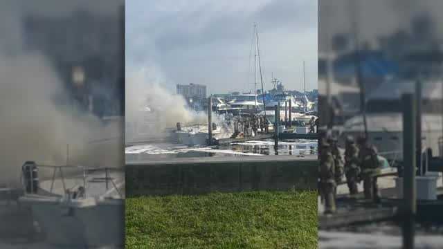 'A really big inferno': Foster dog helps save family from boat fire - Vimarsana News