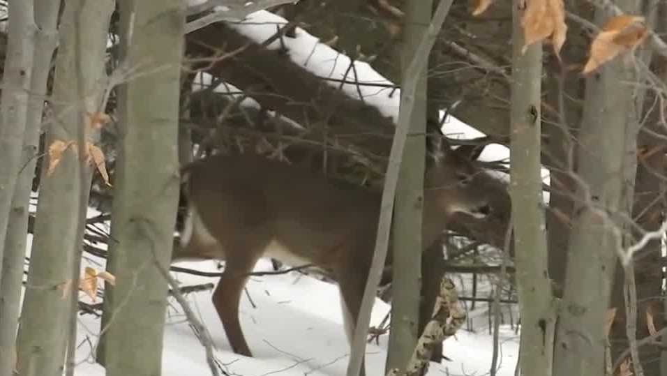 South Hero man wins lifetime hunting and fishing license lottery