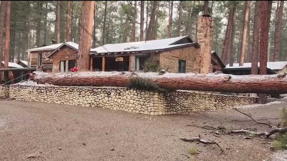 Ruidoso impacted by dangerous winds; trees uprooted