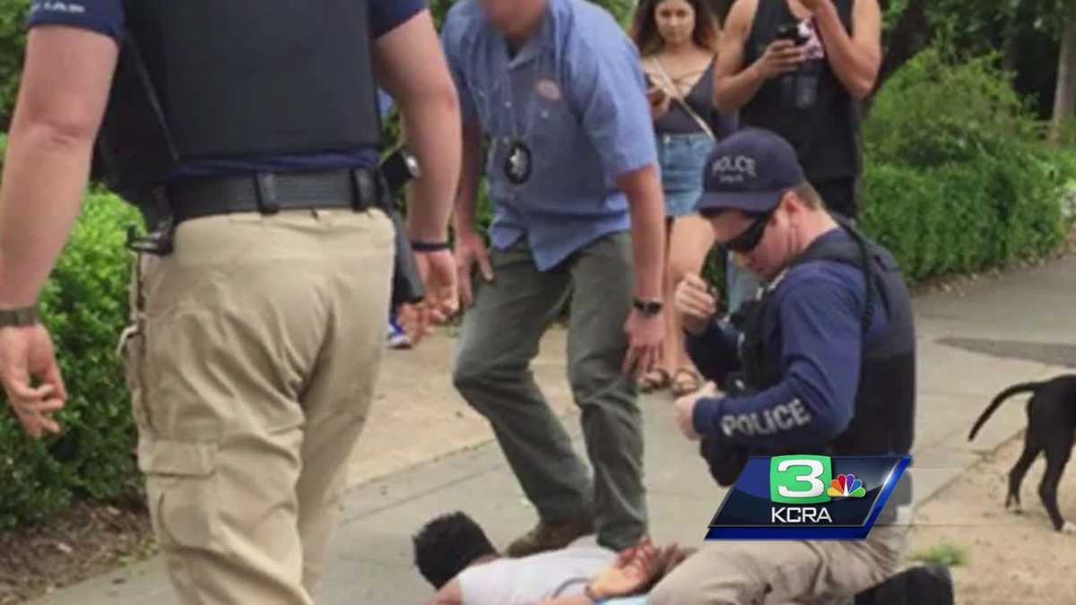 2 officers attacked by mob during Picnic Day in Davis