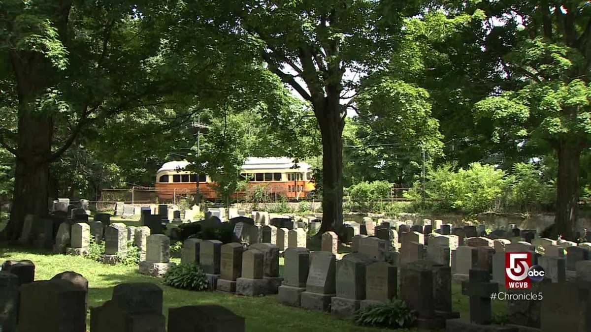 The community atmosphere and significance of the Cedar Grove