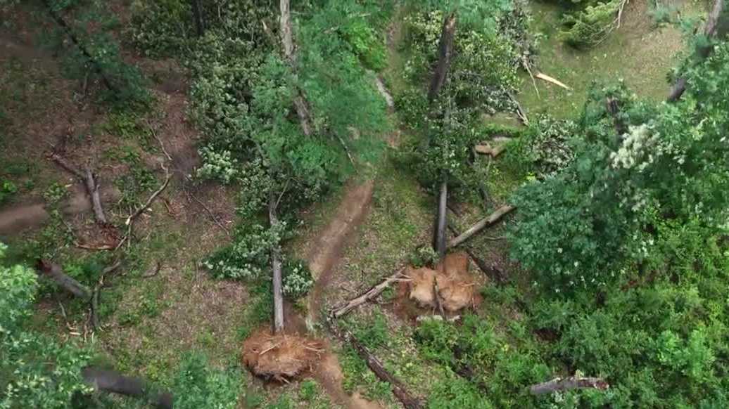 Residents say EF-1 tornado sounded like 'cracking wood' as it ripped through Clark County