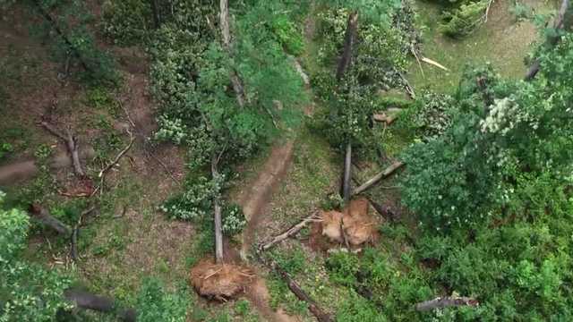 Residents say EF-1 tornado sounded like 'cracking wood' as it ripped through Clark County