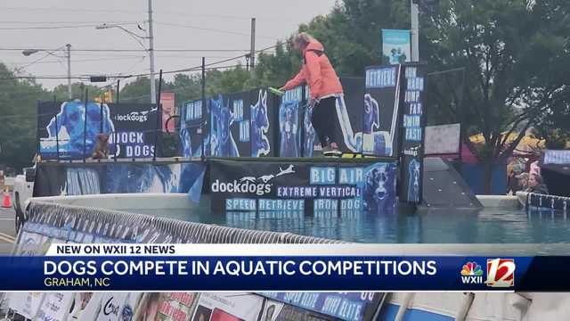 Piedmont Triad Dogs gather to compete - Vimarsana News