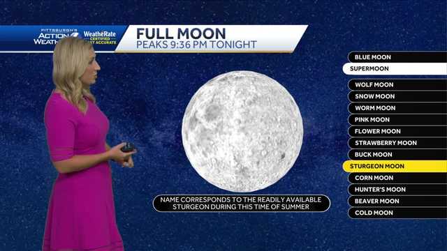 Sturgeon supermoon and Perseids meteor shower tonight - Vimarsana News
