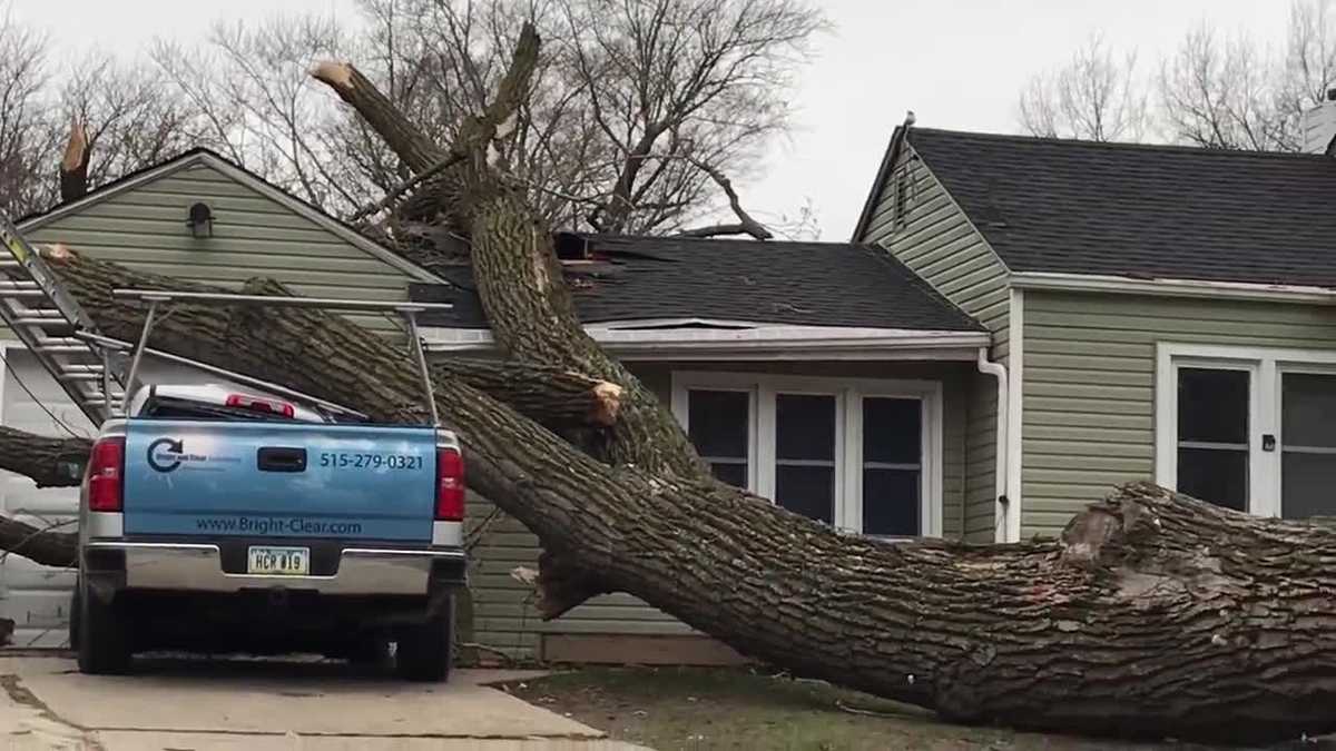 Wind Topples Massive Tree Onto Home Truck