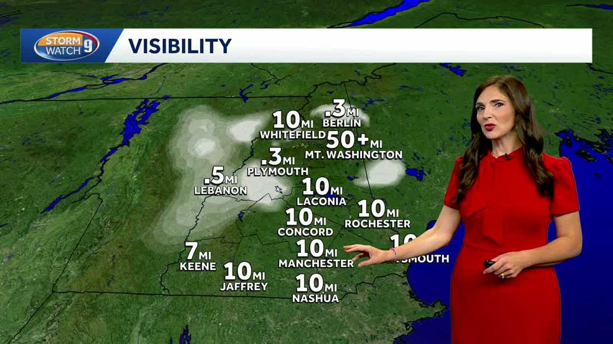 Comfortably mild Sunday with shower chances later on