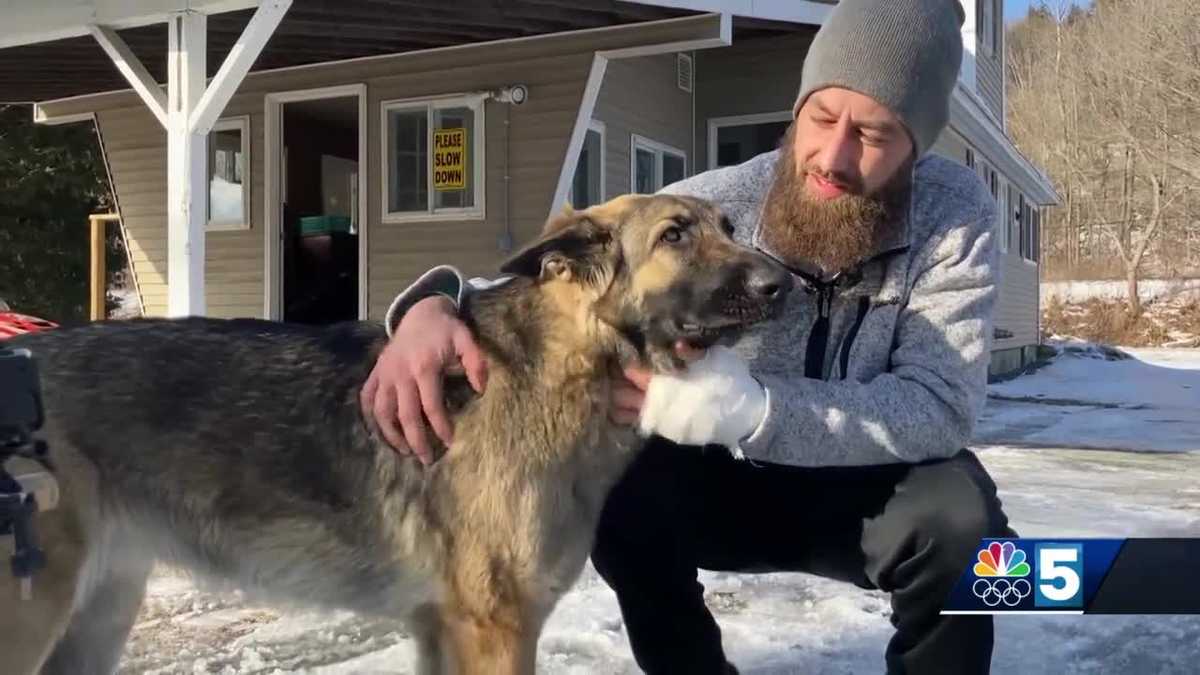 Dog leads police to owner thrown from truck in I89 crash