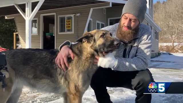 Dog leads police to owner thrown from truck in I-89 crash - Vimarsana News