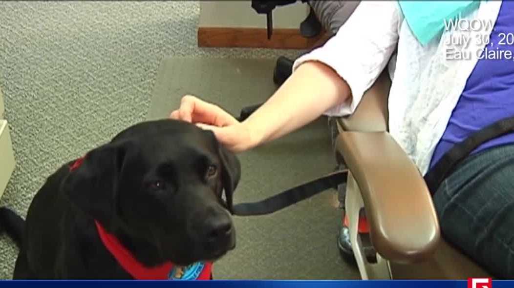 Video: Could allowing pets get more Massachusetts remote workers back to office?