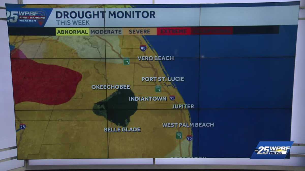 Burn bans issued in Martin and Palm Beach counties
