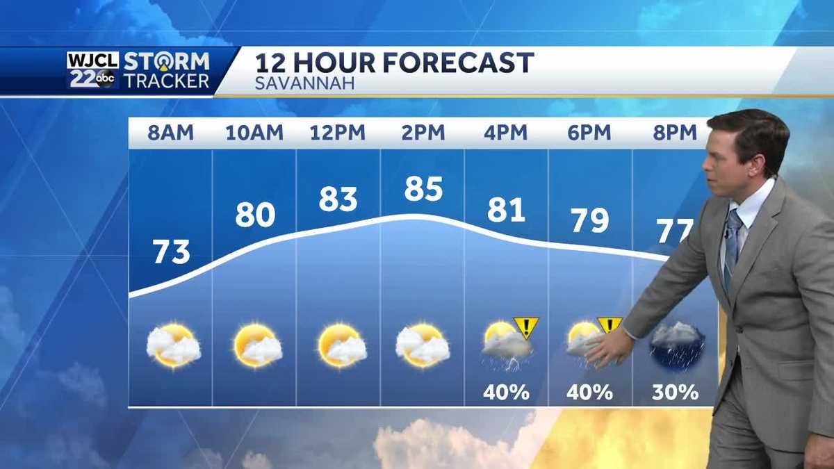 Showers or storms this afternoon with severe storm possible - WJCL