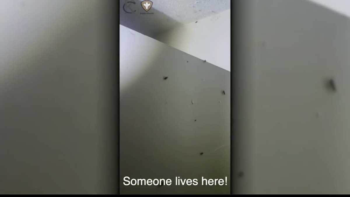 115 health code violations force families from Northland apartment building