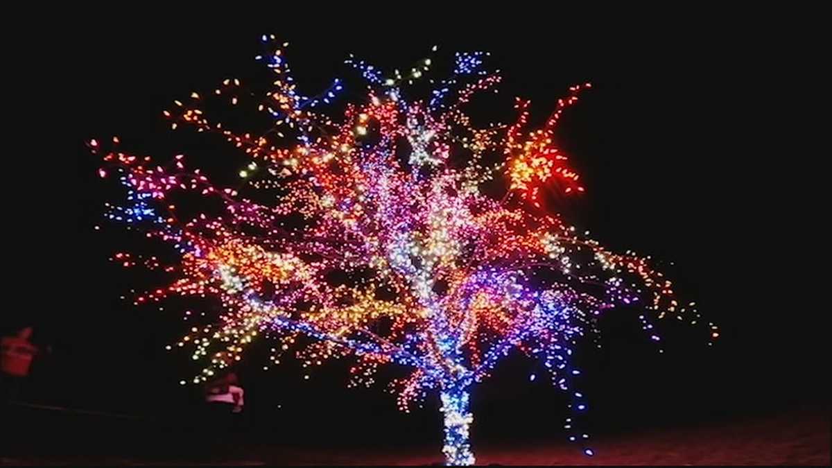Magic Tree in Missouri set to inspire another season of giving