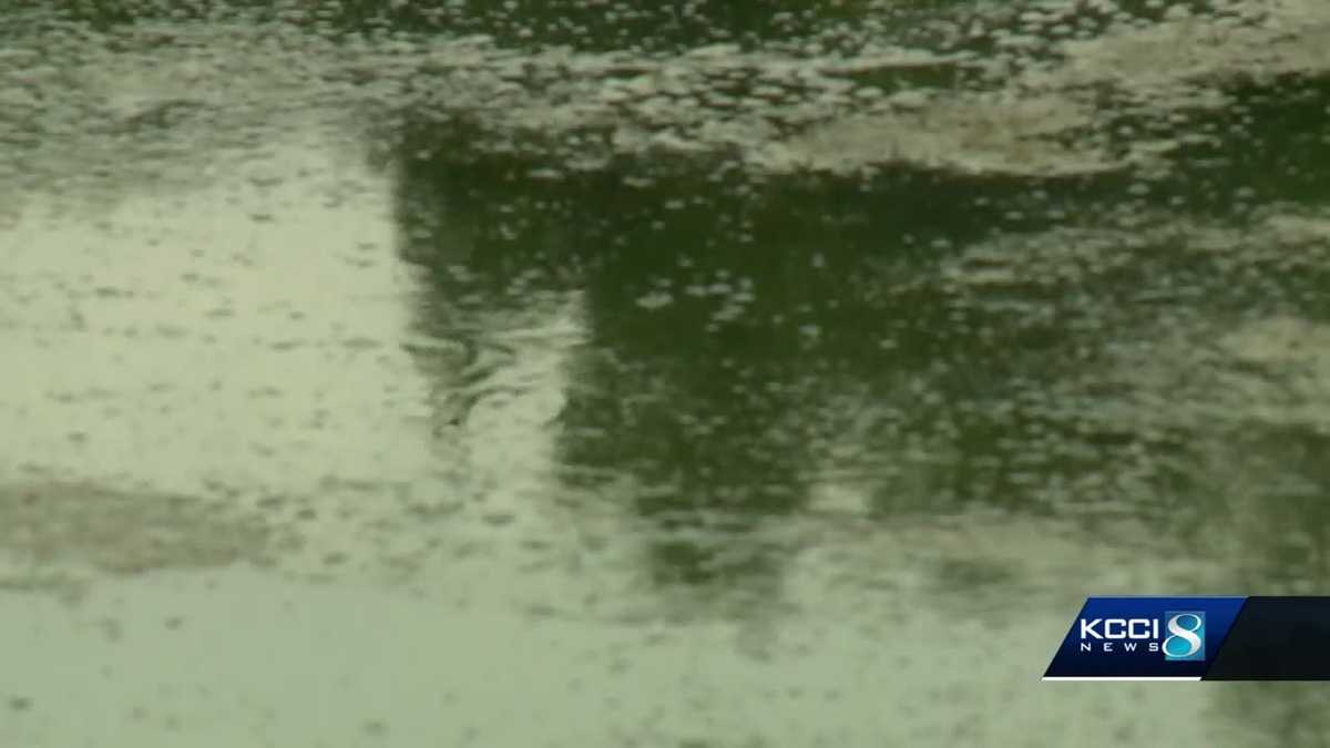 Bluegreen algae to blame for town’s loss of drinking water