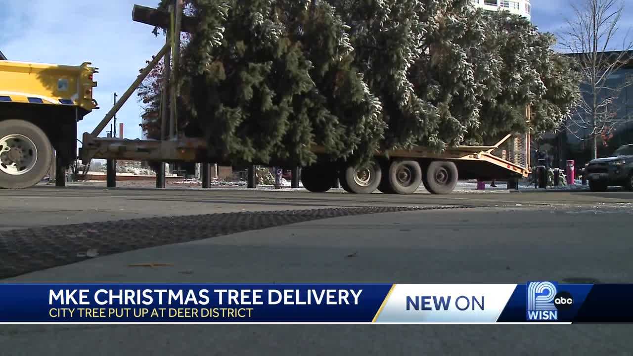 2023 Milwaukee Christmas Tree Arrives To The Cheer District   Ca95b59b Bdd7 4174 9bc9 8c6f937debd6 