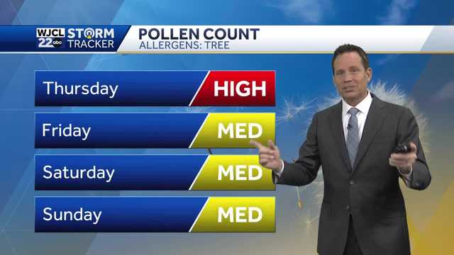 Savannah: Pollens counts jump ahead of the next chance of rain - Vimarsana News