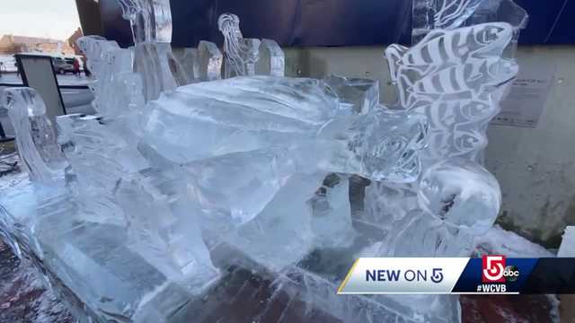 Leatherback sea turtle depicted in Boston New Year's ice sculpture - Vimarsana News