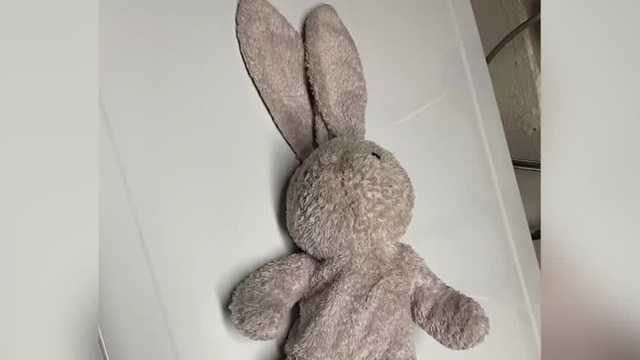Omaha woman looking to find the owner of a lost stuffed animal - Vimarsana News