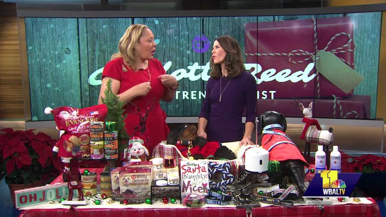 Perfect Gifts For Four-legged Friends