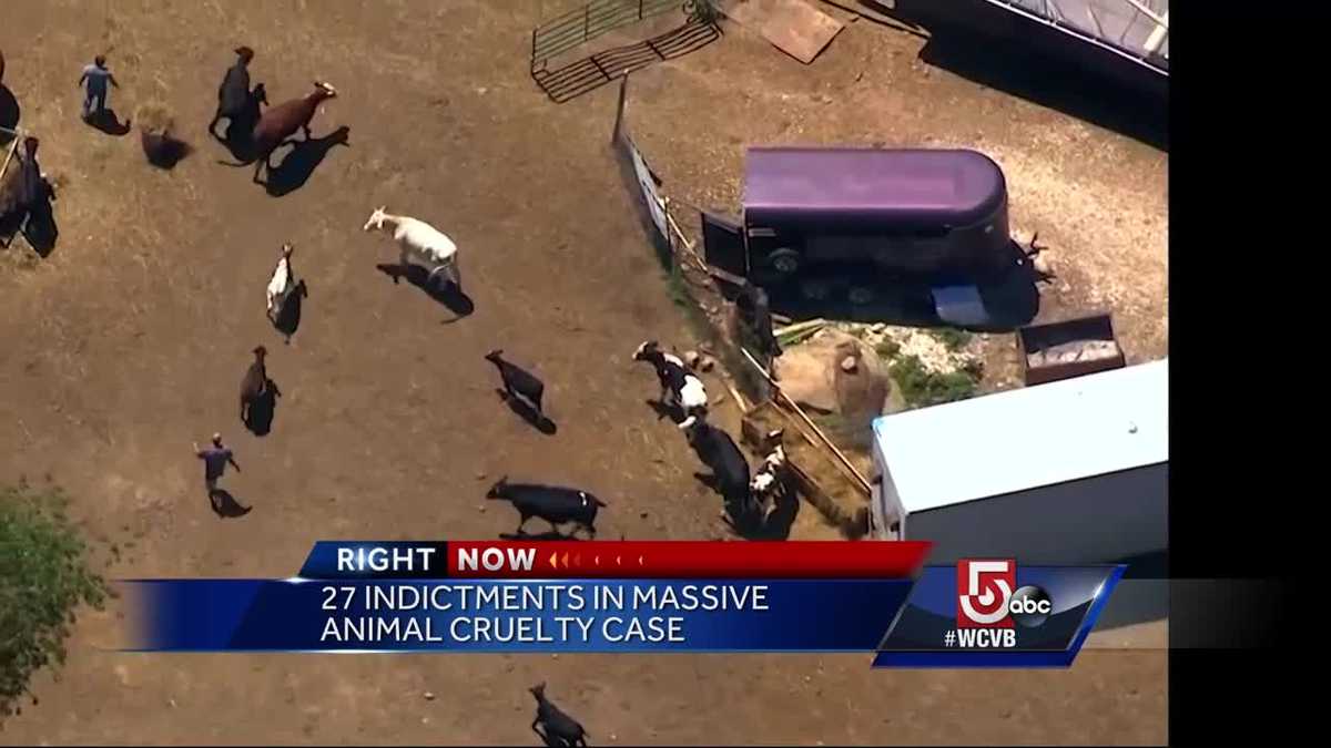 Numerous indictments in massive animal cruelty case