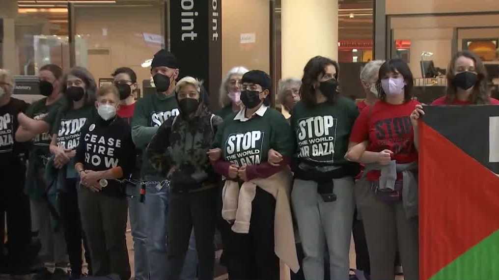 Hundreds protest at San Francisco airport, demand ceasefire in Gaza