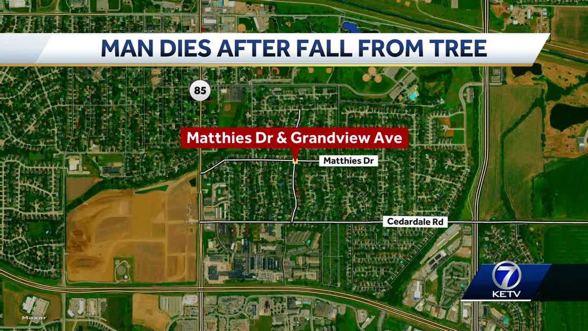 63-year-old-man-died-wednesday-while-trimming-tree-branches