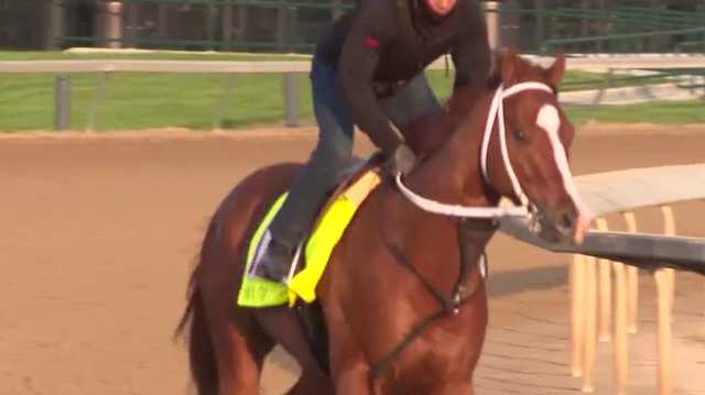 Kentucky Derby horse Mage racing for cancer awareness - Vimarsana News
