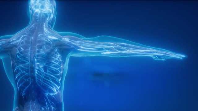 South Carolina: Frostbite information - Vimarsana News