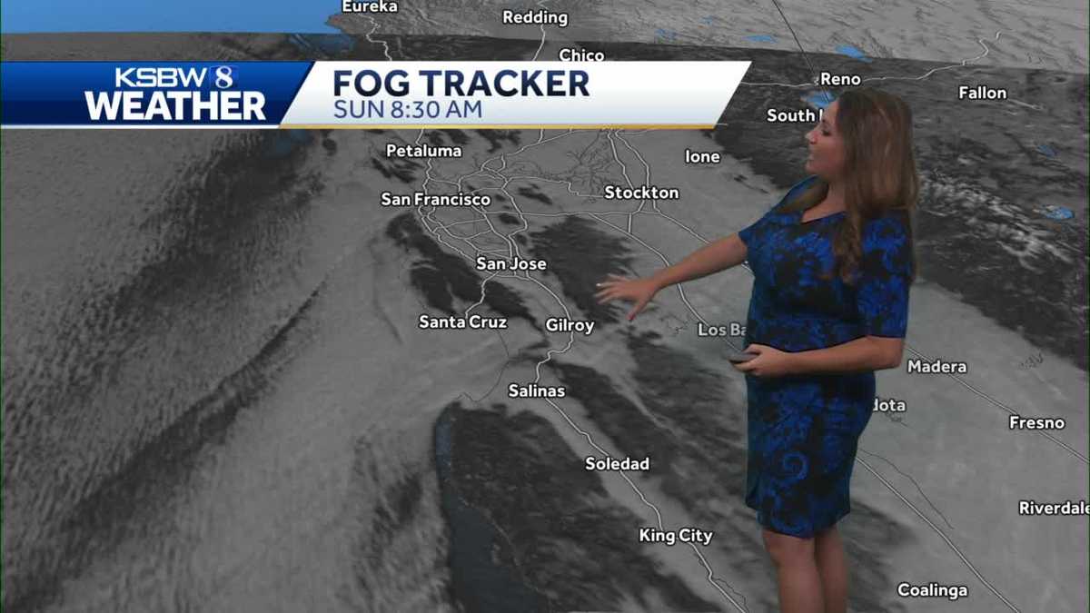 Dense Fog Advisory in the AM then sunny