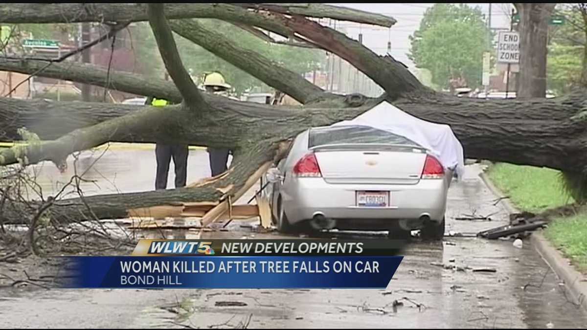 Bond Hill Woman Dies After Tree Falls On Car