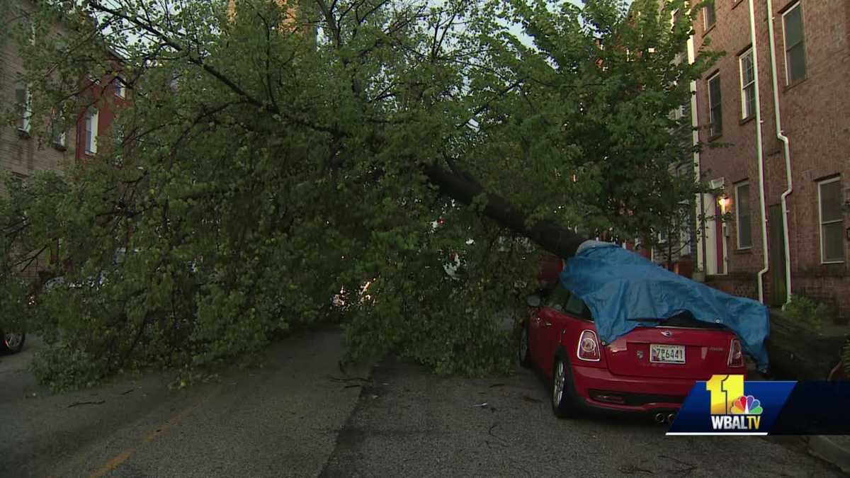 Storms leave significant damage throughout Baltimore metro