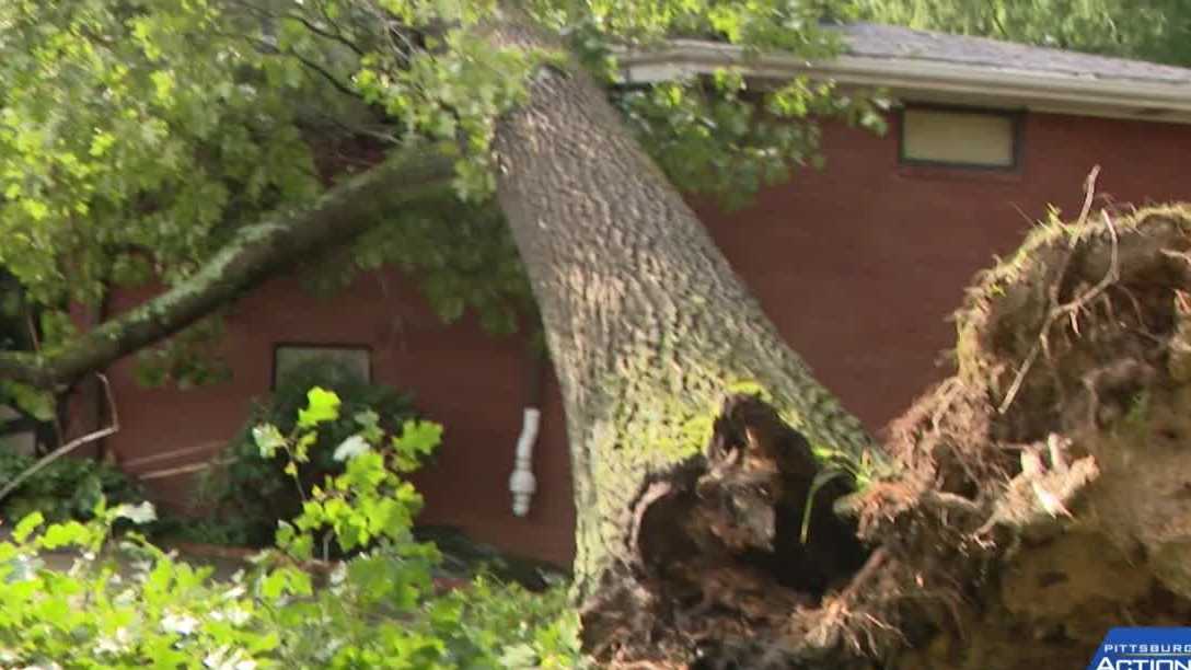 Residents across Western PA pick up the pieces after storms cause trees to fall on their homes