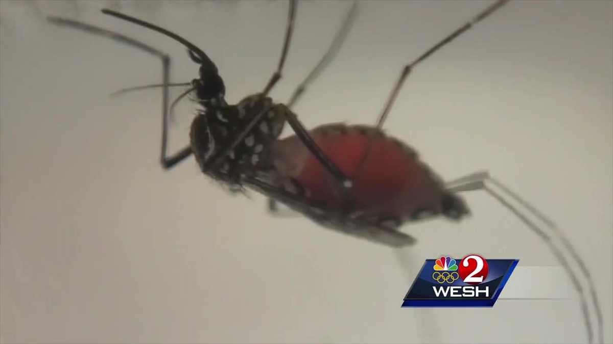 Mosquito spraying fleet to target problem areas in Brevard County