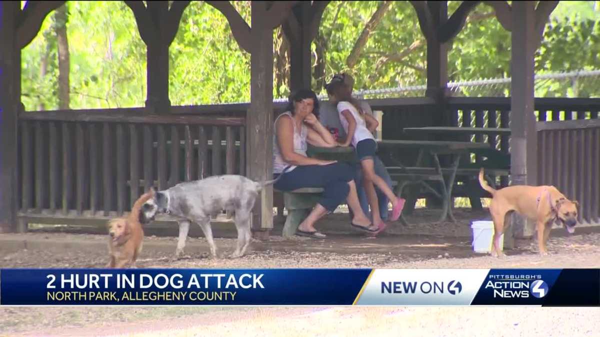 Two people injured after dog attack in North Park Dog Park