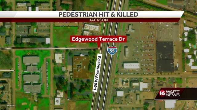 Pedestrian struck by vehicle dies at the scene - Vimarsana News