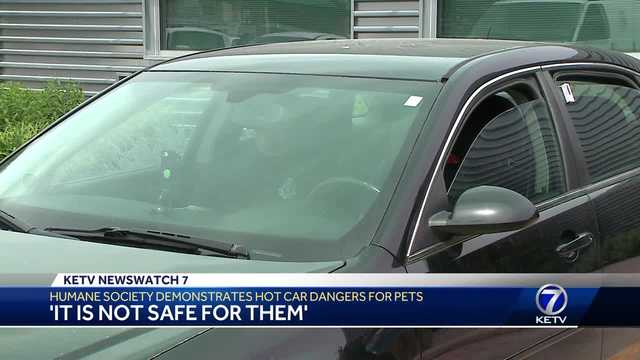 Nebraska Humane Society shows danger for dogs in hot cars - Vimarsana News