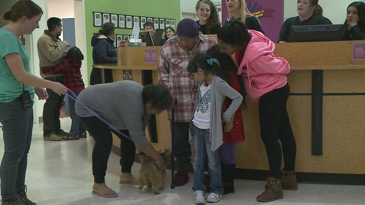 Family reunites with lost dog nearly 1 year later
