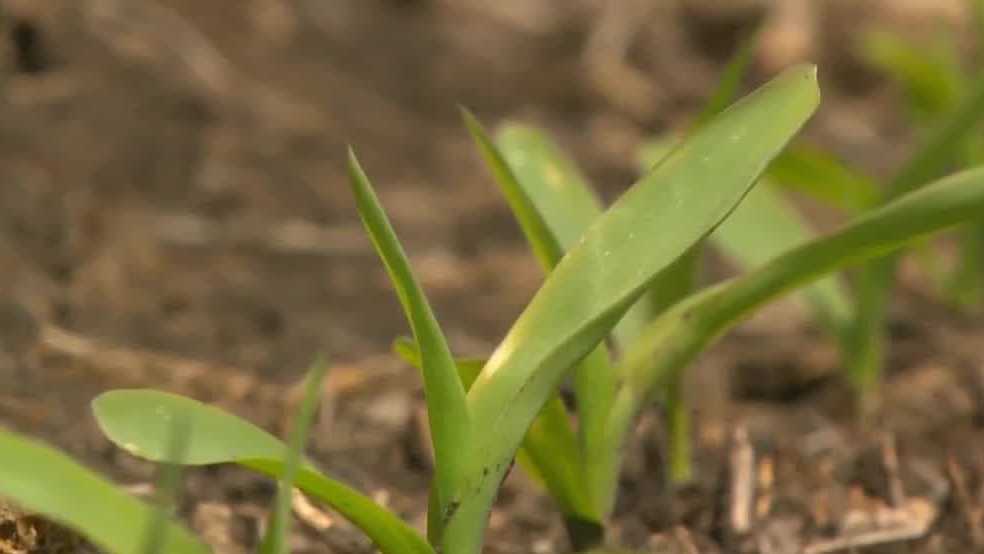 'Mercy of Mother Nature': Dry conditions spark worries over continued wildfires in Nebraska