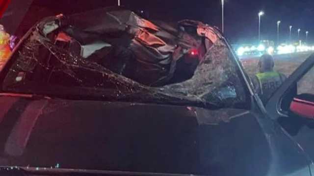 Driver knocked out on Florida highway - Vimarsana News