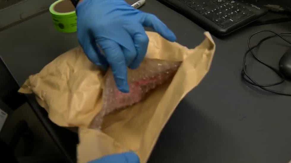 Inside look: How federal officials are stopping drugs sent through the mail - Vimarsana News