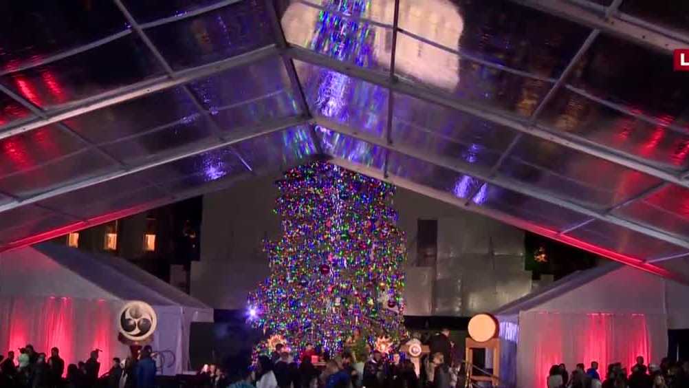 Gilroy girl lights Capitol Christmas Tree