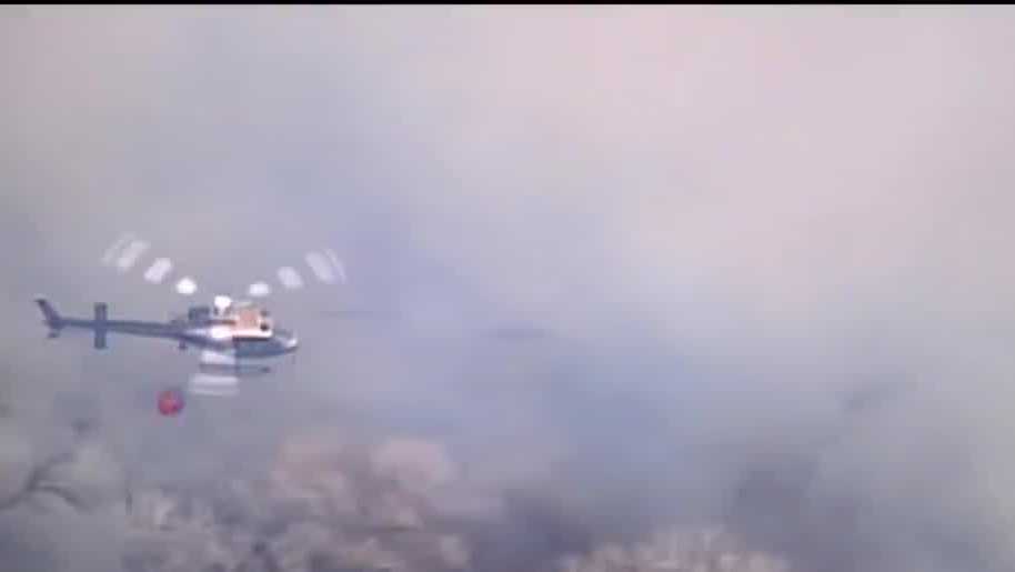 Climate change spikes fire danger throughout New Mexico's bosque - KOAT New Mexico