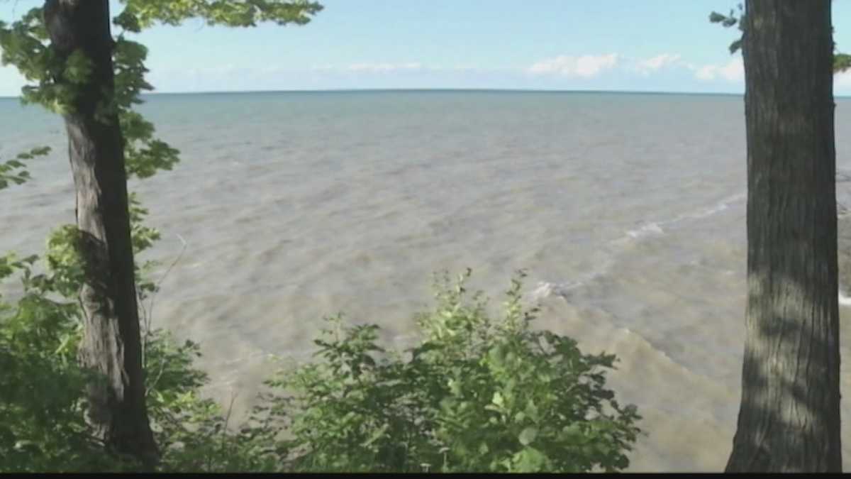 Mom drowns trying to save son