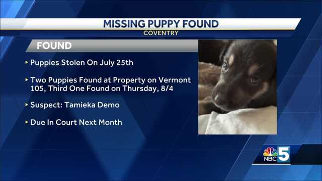 Missing puppy found safe - Vimarsana News